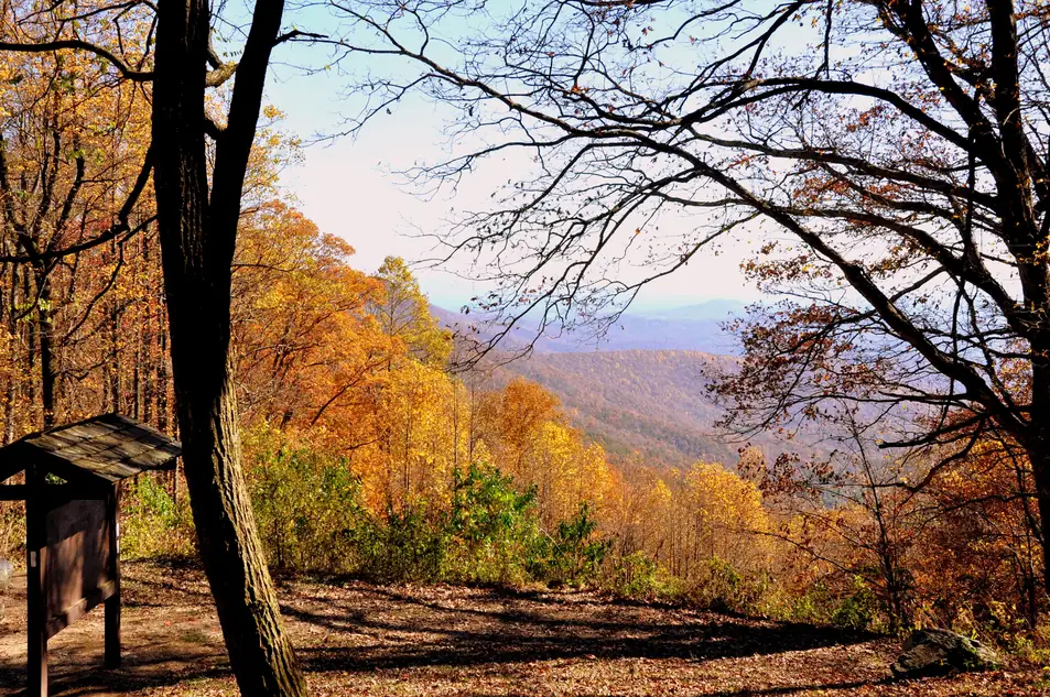 Overlook framed by trees in gold and orange autumn leaves, looking out over hazy blue mountain ridges