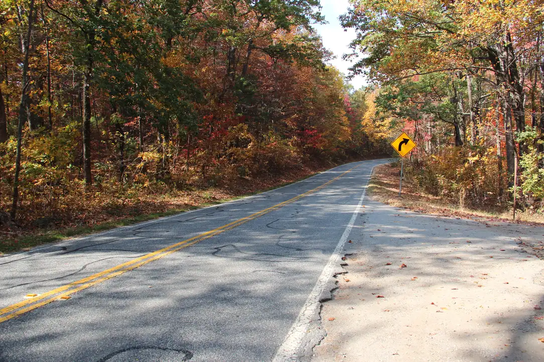 Two-lane road curving uphill through a forest of red, orange and yellow autumn leaves with a curve sign