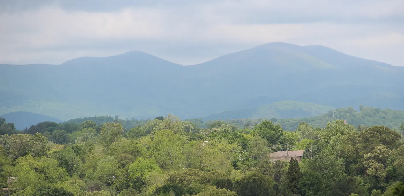 Two rounded forested mountains under a gray sky above a band of green treetops