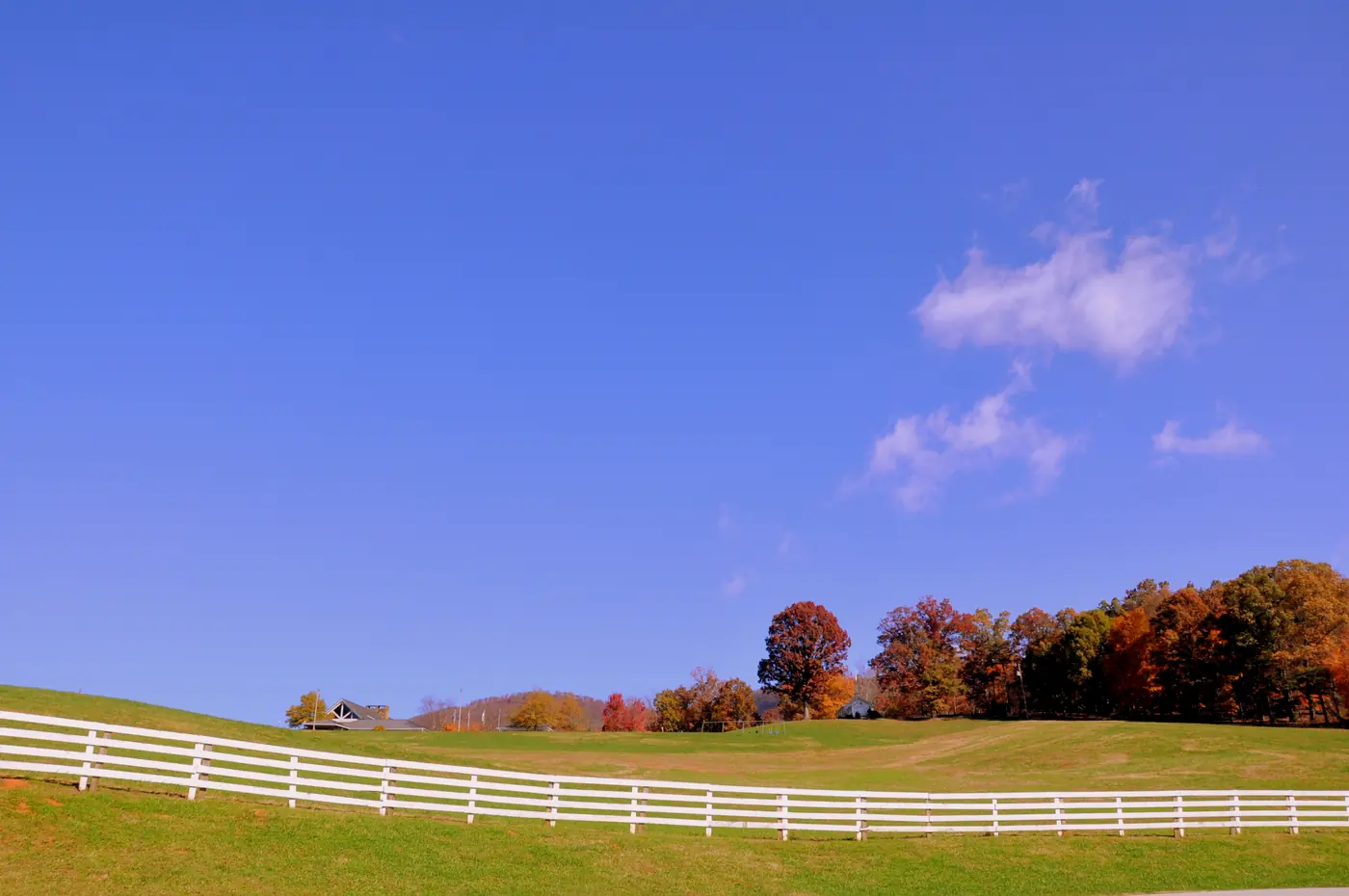 Green pasture with a long white rail fence below autumn trees and a wide blue sky